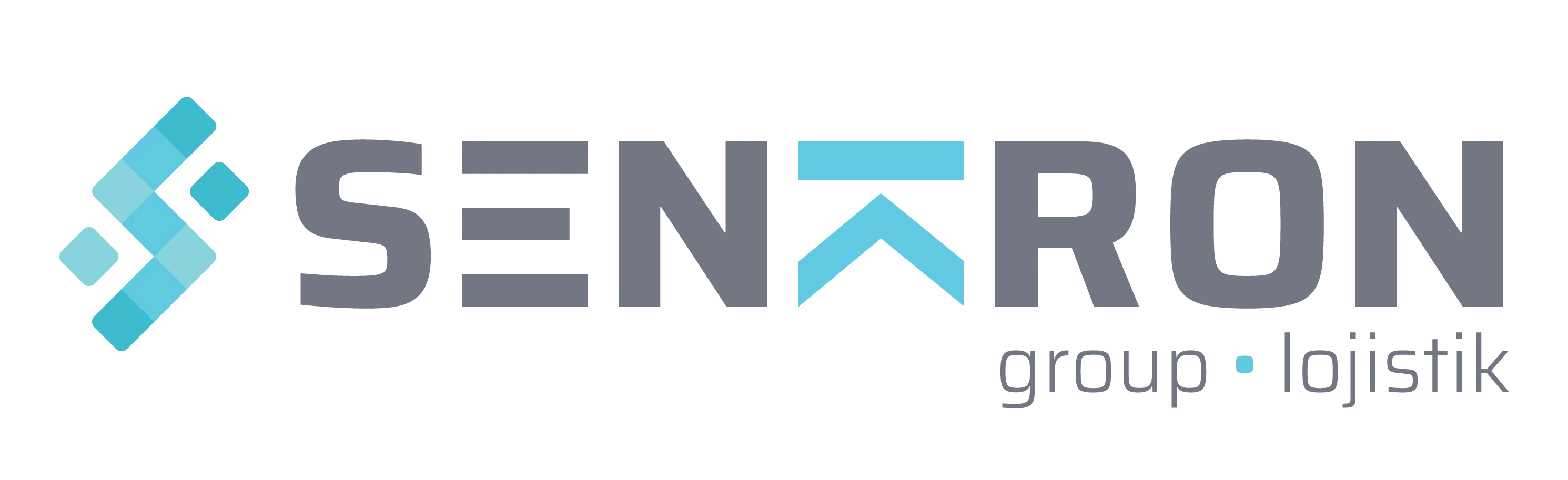 Senkron Group — Turkey fulfillment and logistics operations